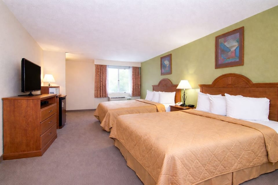 Desk, WiFi (free), bed sheets