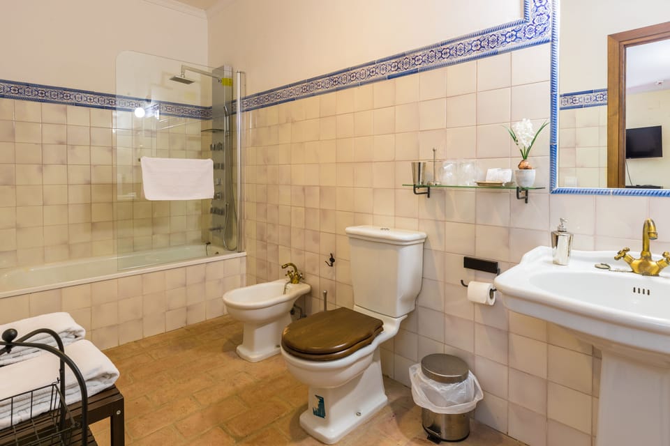 Separate tub and shower, free toiletries, hair dryer (on request), bidet