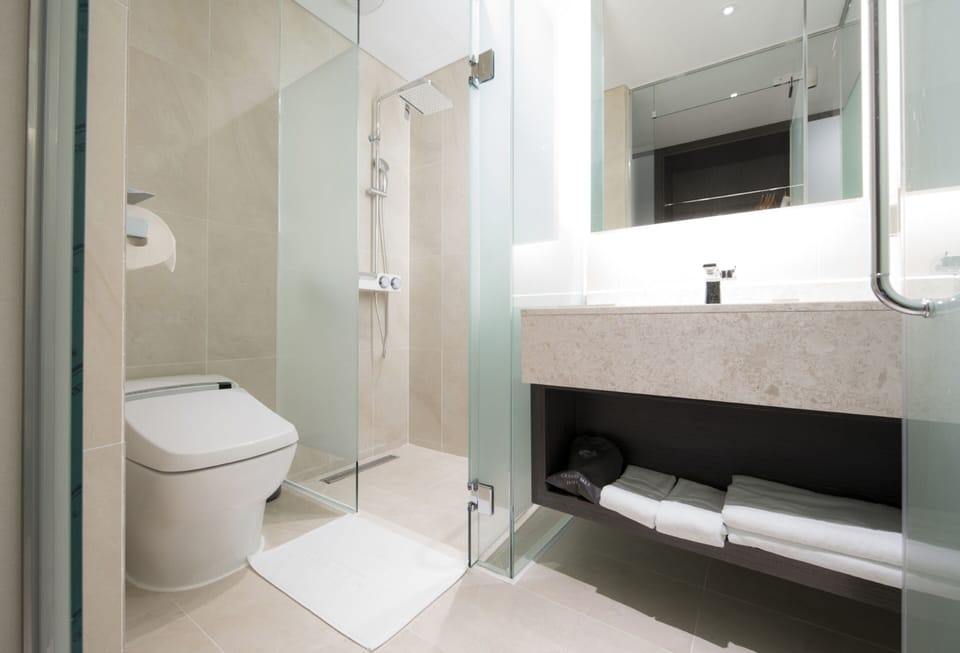 Shower, hair dryer, towels, shampoo