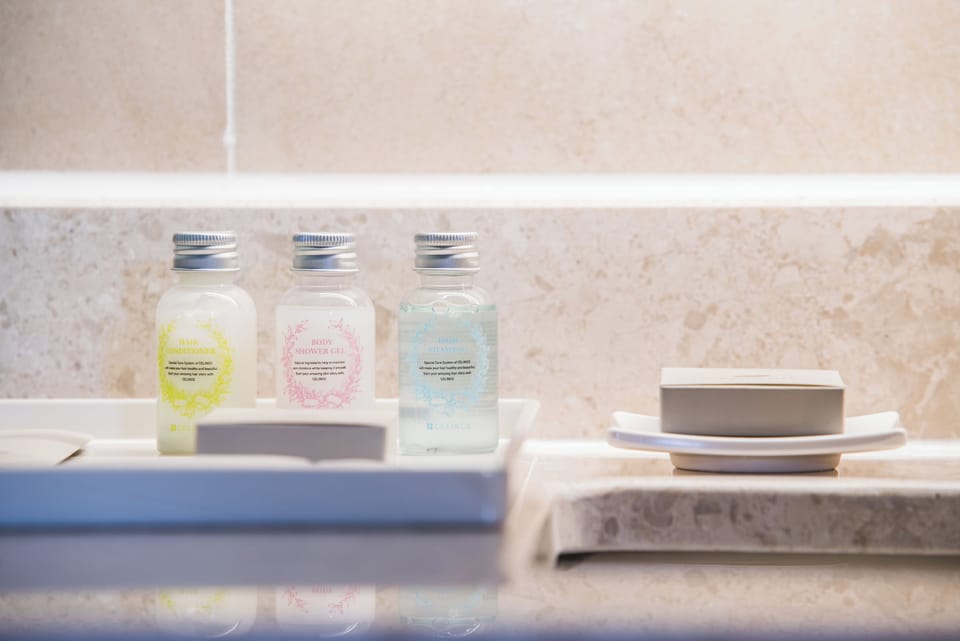 Executive Family Room | Bathroom | Shower, hair dryer, towels, shampoo