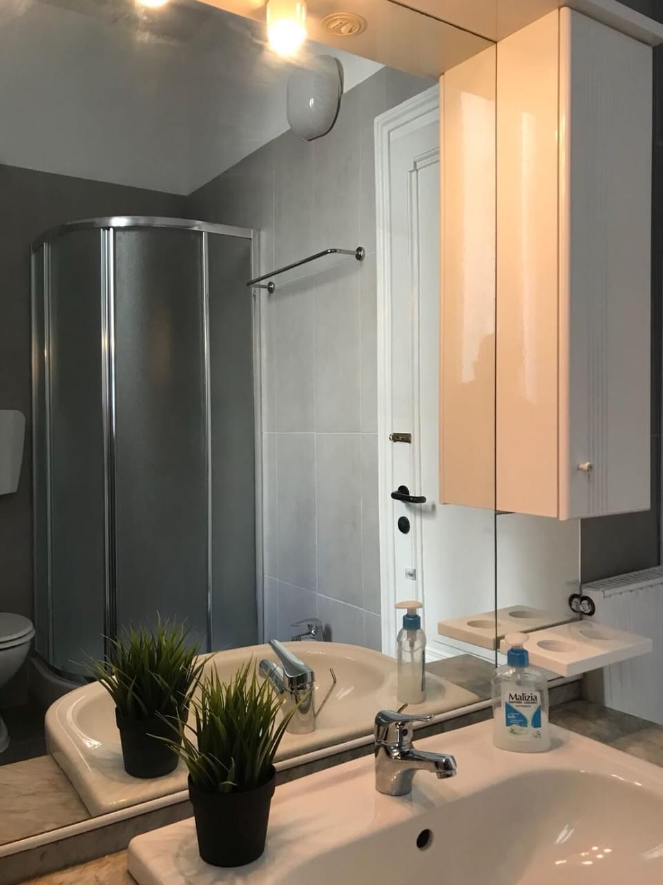 Shower, free toiletries, hair dryer, bidet