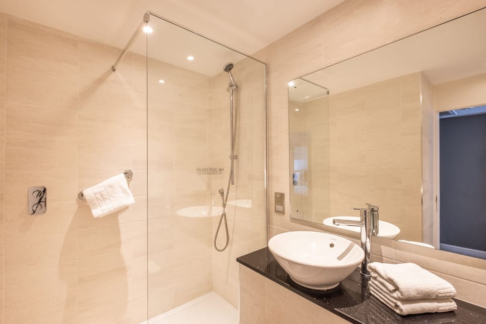 Premium Room | Bathroom | Shower, rainfall showerhead, eco-friendly toiletries, hair dryer