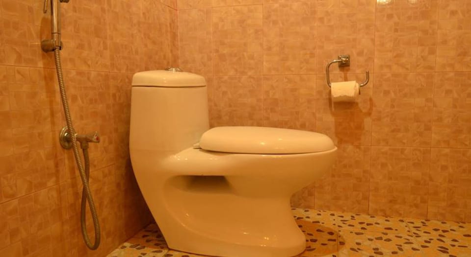 Shower, free toiletries, hair dryer, slippers