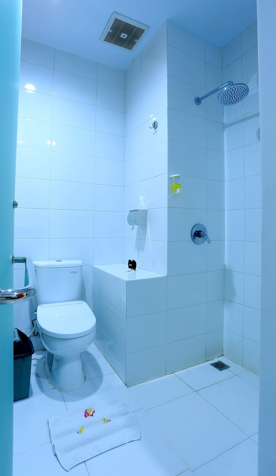 Shower, free toiletries, hair dryer (on request), slippers