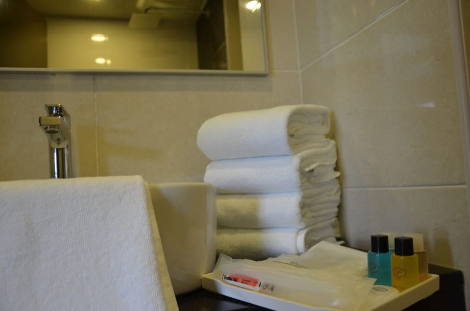 Shower, free toiletries, hair dryer, slippers