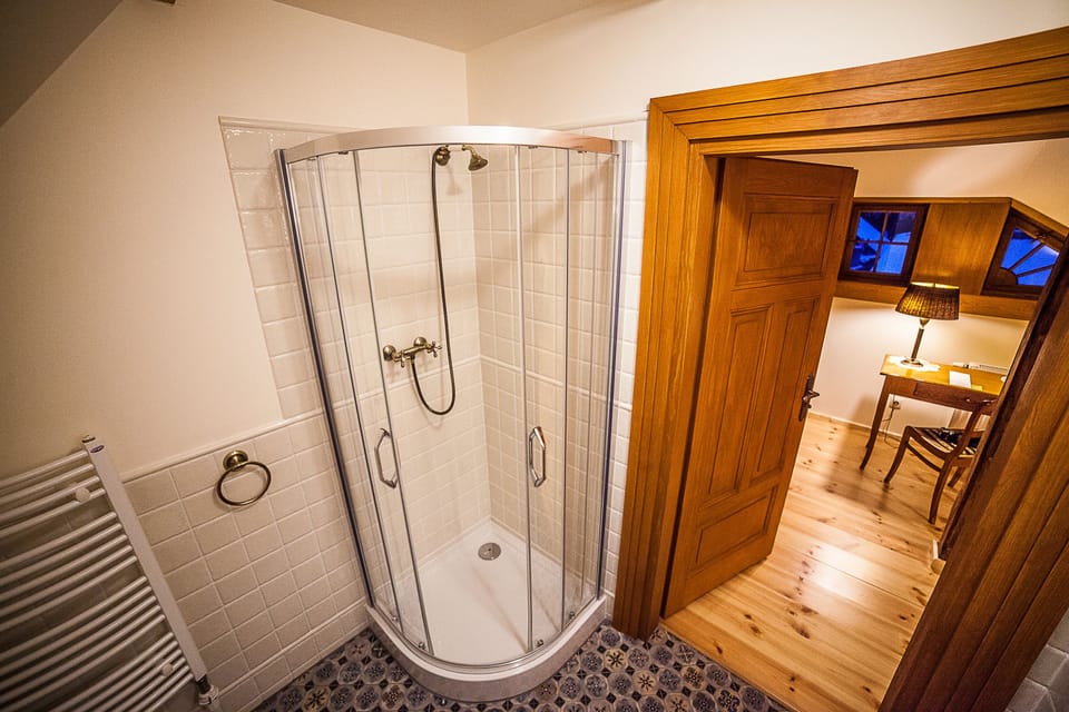 Shower, free toiletries, hair dryer, towels