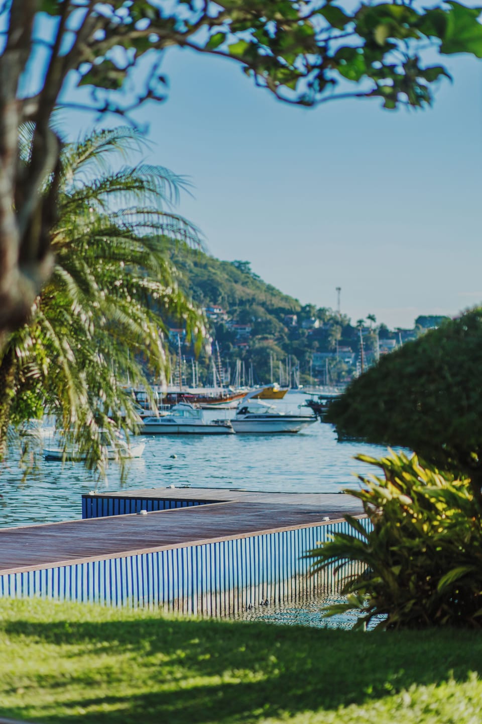 Land view from property