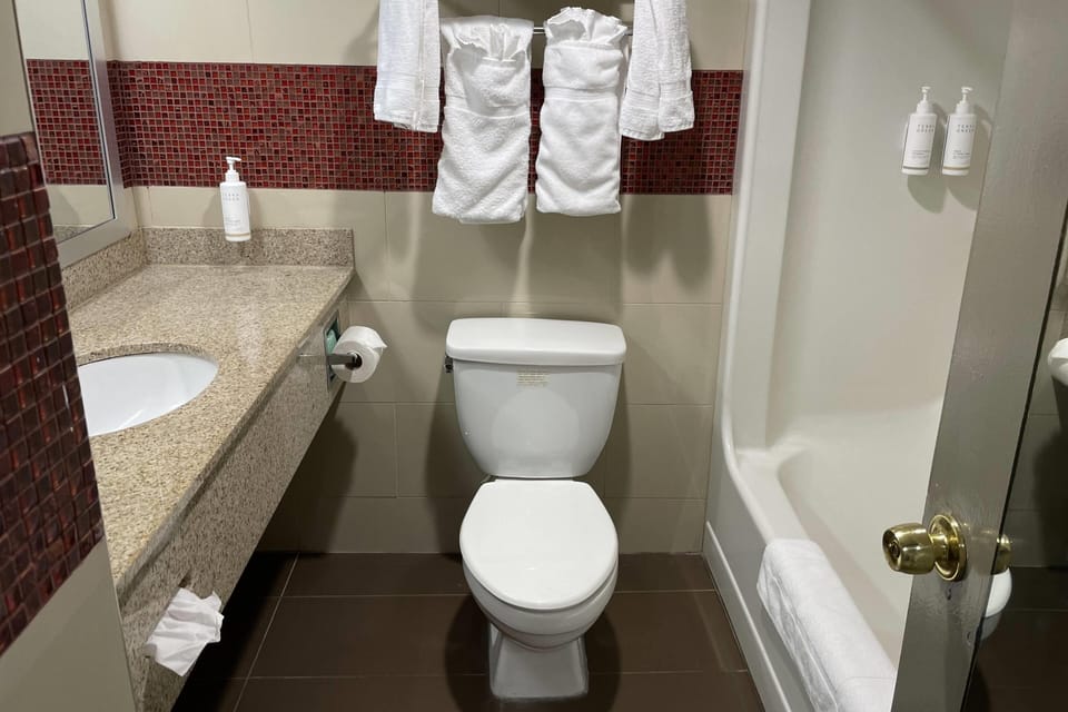 Combined shower/tub, deep soaking tub, free toiletries, hair dryer