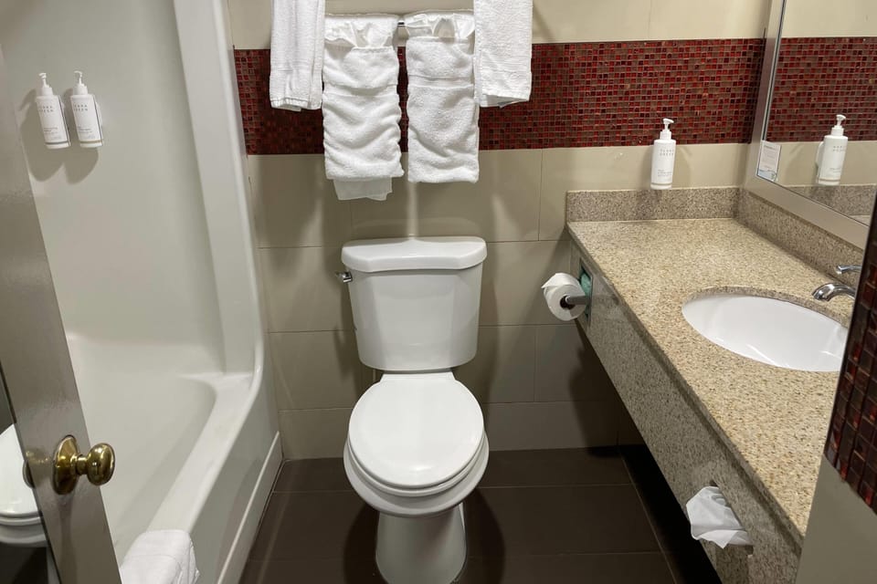 Combined shower/tub, deep soaking tub, free toiletries, hair dryer