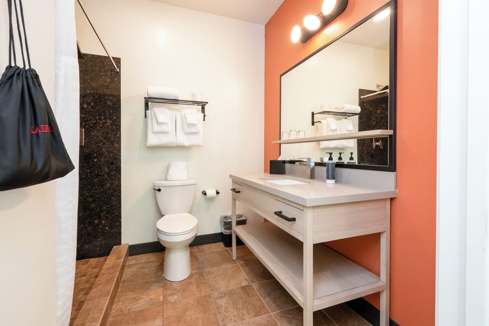 Classic King | Bathroom | Hair dryer, towels, soap, shampoo