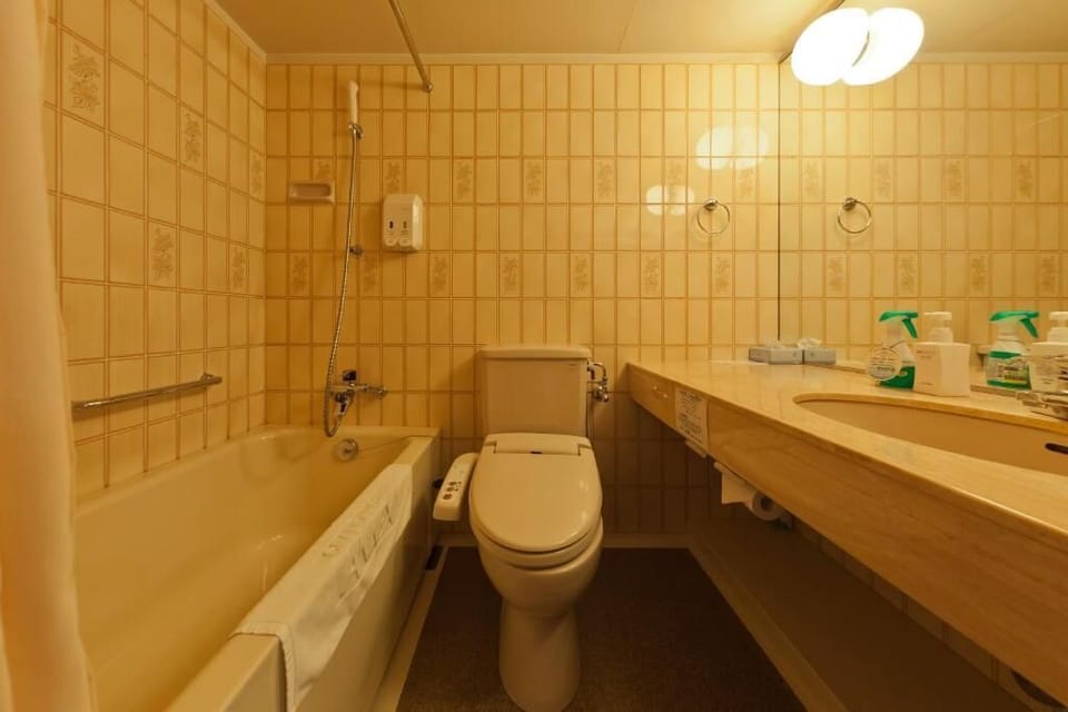 Combined shower/tub, free toiletries, hair dryer, slippers
