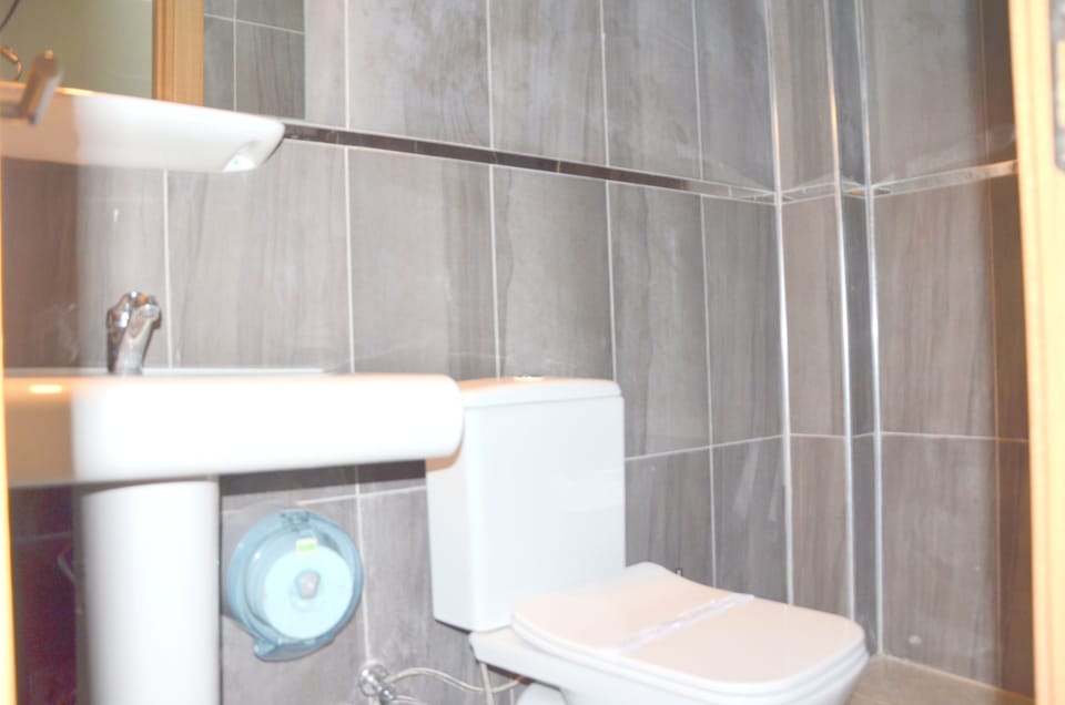 Shower, free toiletries, hair dryer, slippers