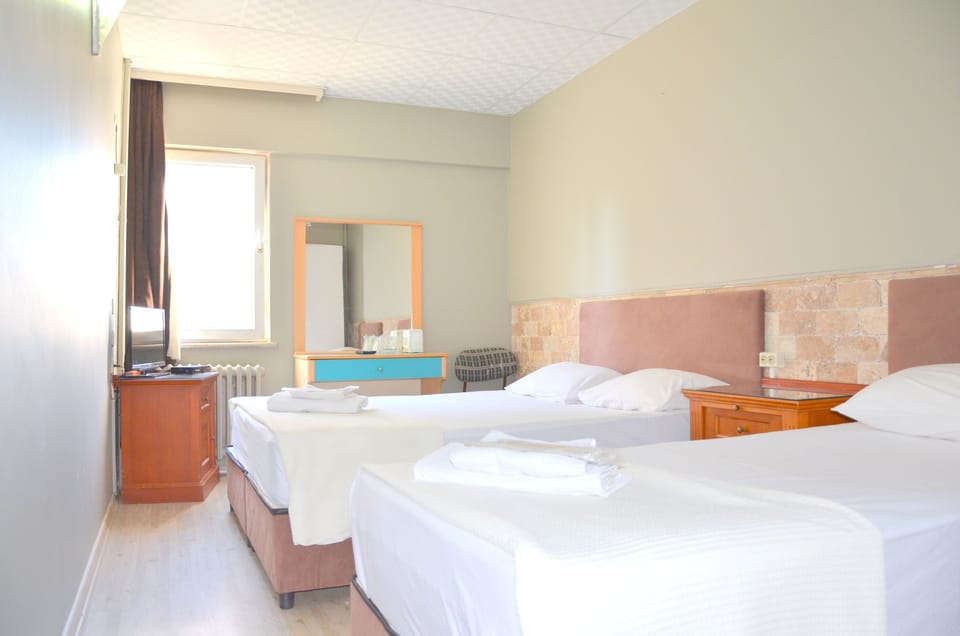 Standard Triple Room | City view