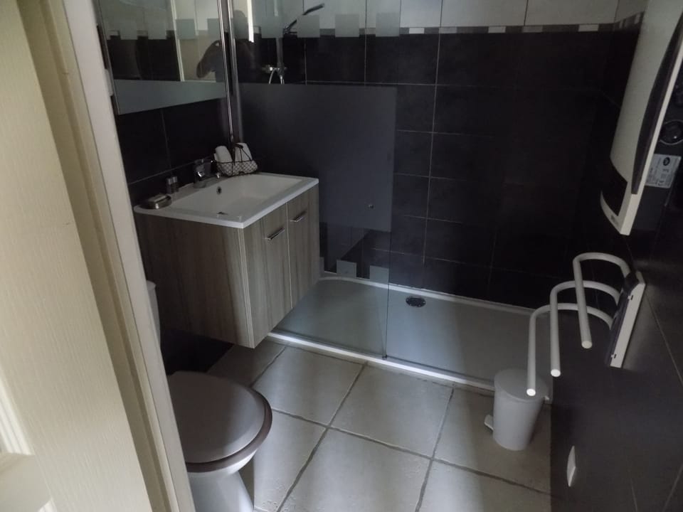 Suite | Bathroom | Shower, free toiletries, hair dryer, towels