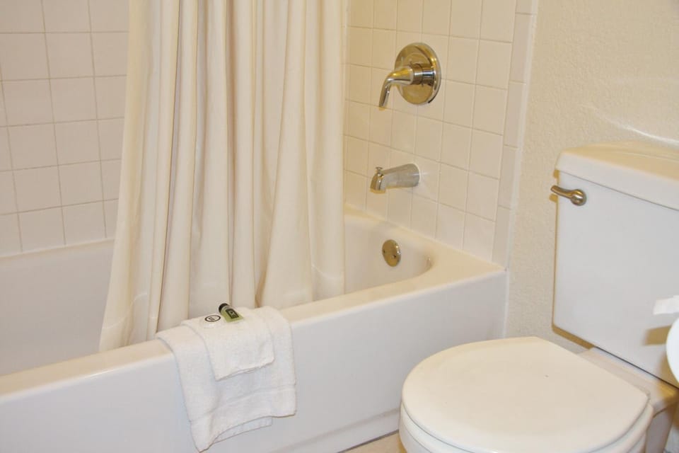 Combined shower/tub, free toiletries, towels