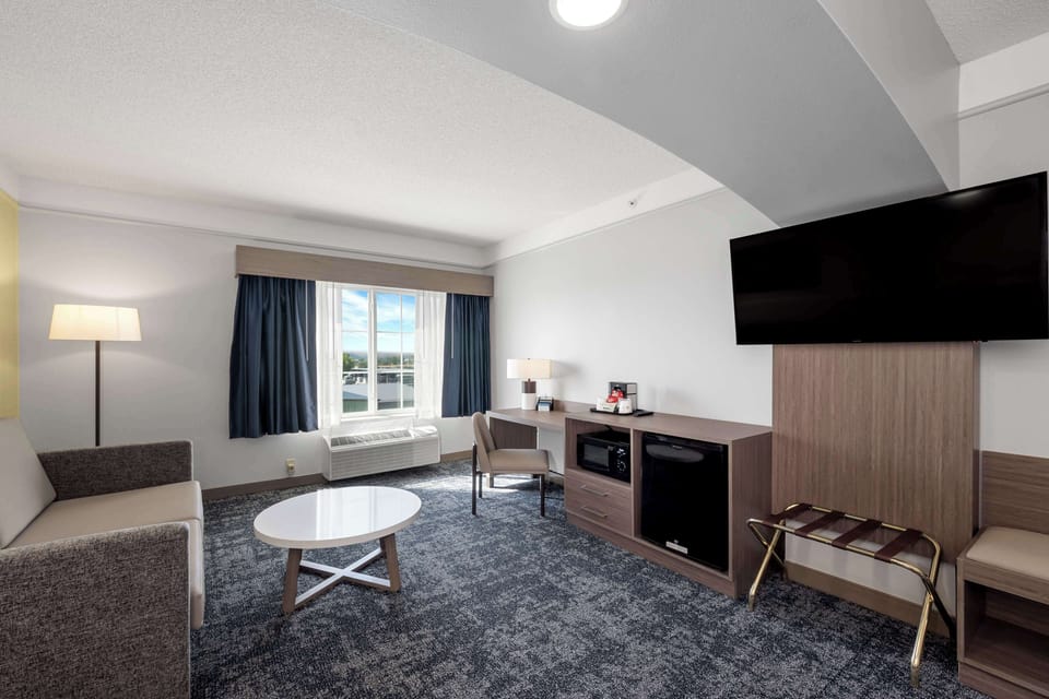 Standard Room, 1 King Bed, Non Smoking, Refrigerator & Microwave (Larger Room;with Sofabed) | Premium bedding, pillowtop beds, in-room safe, desk