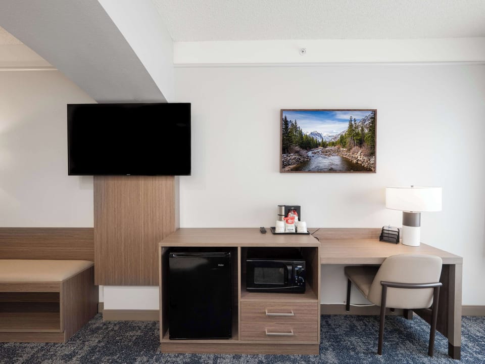 Standard Room, Multiple Beds, Non Smoking, Refrigerator & Microwave (Larger Room) | Premium bedding, pillowtop beds, in-room safe, desk