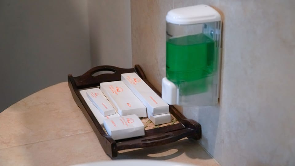 Standard Twin Room | Bathroom amenities | Shower, free toiletries, hair dryer, towels