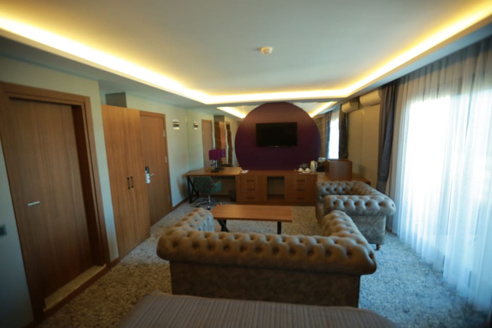 Single Room | Minibar, desk, soundproofing, iron/ironing board