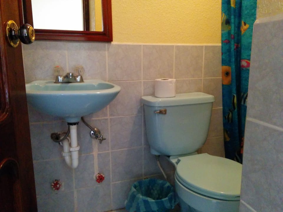 Shower, rainfall showerhead, towels
