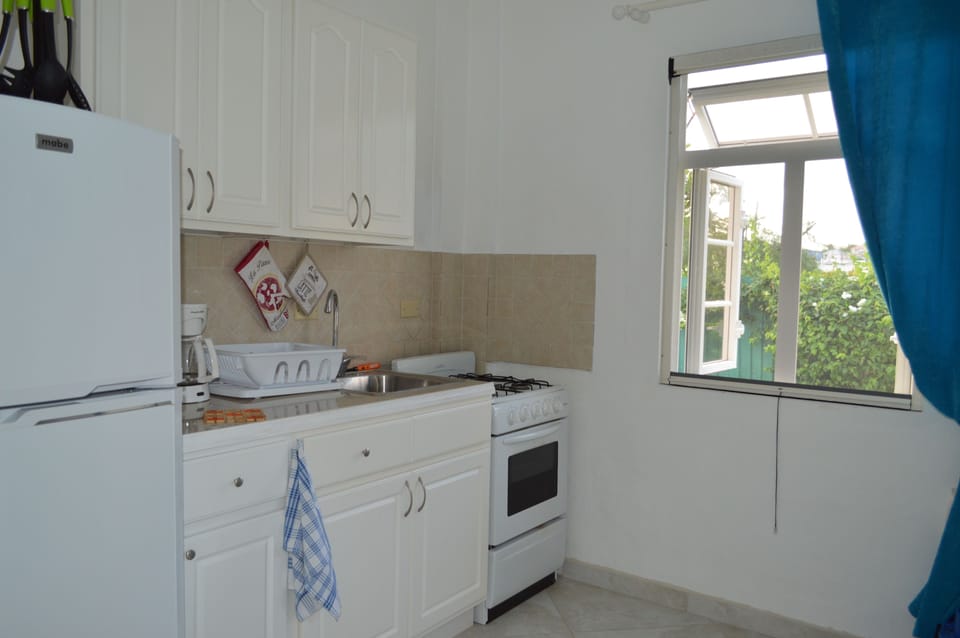 Apartment | Private kitchen | Fridge, oven, stovetop, coffee/tea maker