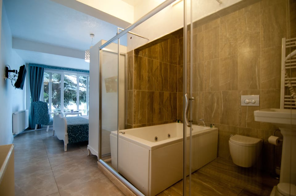 Standard Double Room, River View, Ground Floor | Minibar, free WiFi
