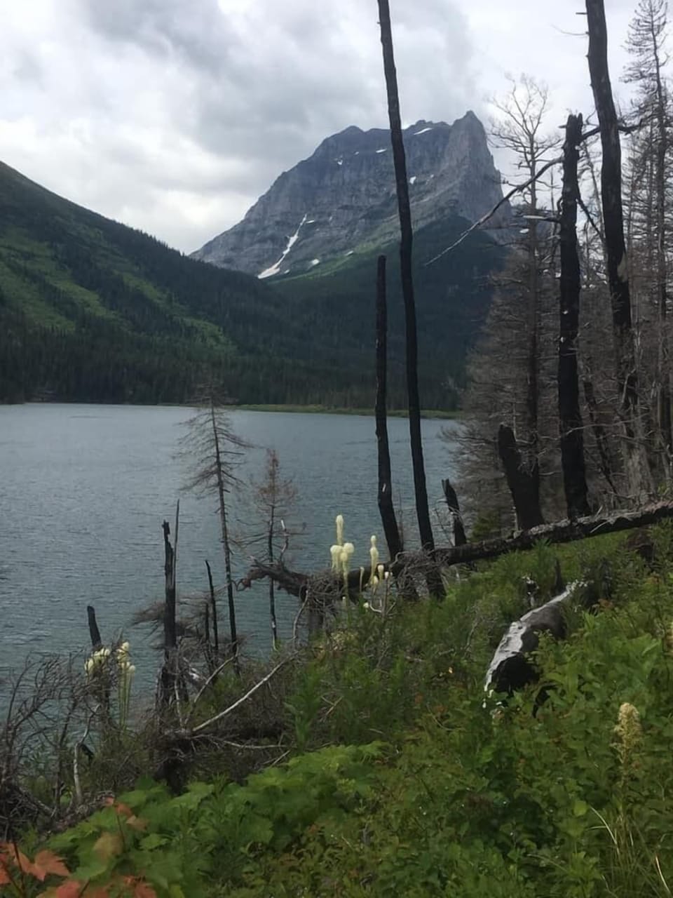 Hiking