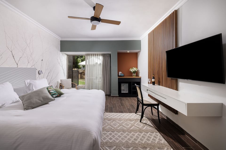 Double or Twin Room, Garden Area | Minibar, in-room safe, desk, laptop workspace
