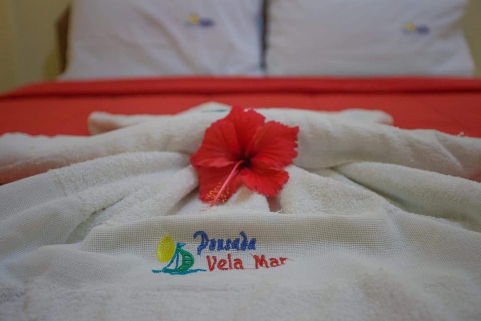 Basic Double Room, 1 Double Bed | Free WiFi