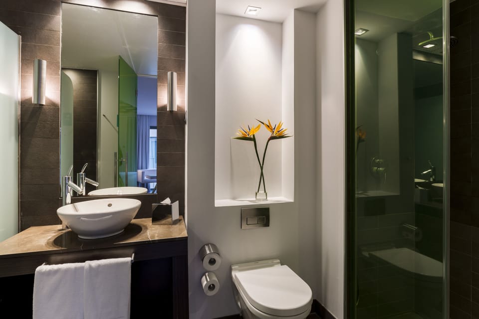 Eco-friendly toiletries, hair dryer, towels