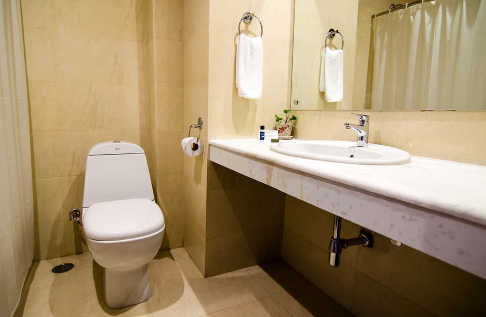 Combined shower/tub, free toiletries, hair dryer, towels