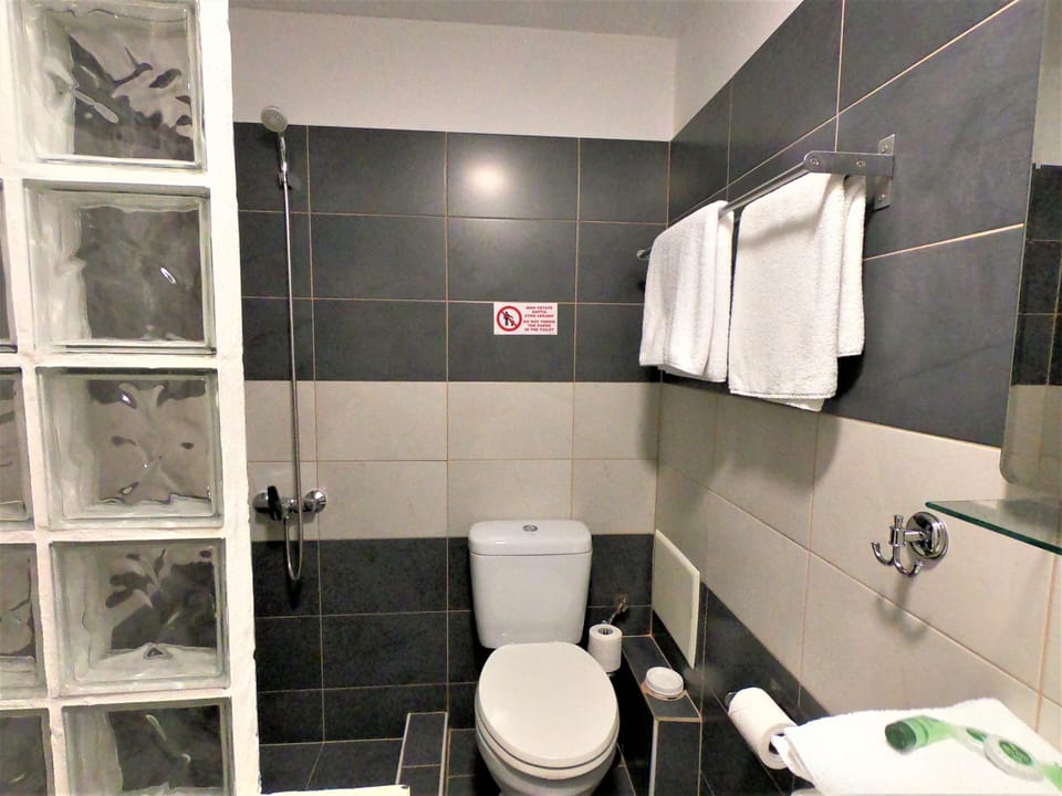 Double Room, Private Bathroom | Bathroom | Shower, free toiletries, hair dryer, towels