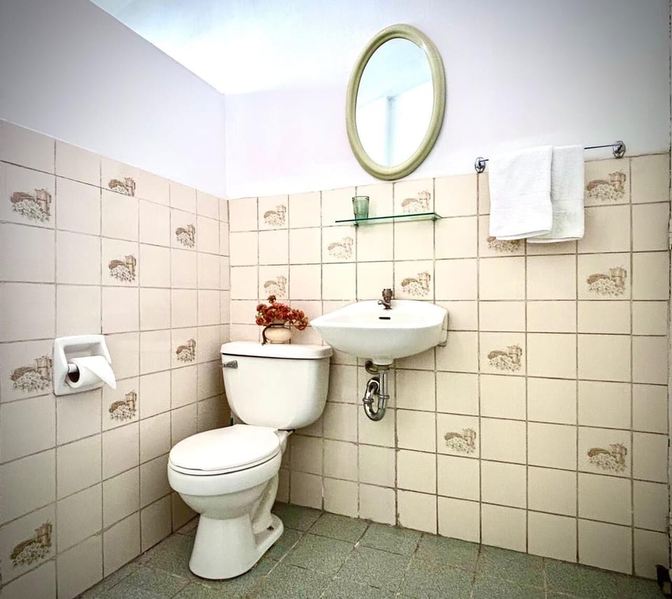 Basic Triple Room, 1 Bedroom, Shared Bathroom | Bathroom | Shower, hair dryer, soap, toilet paper