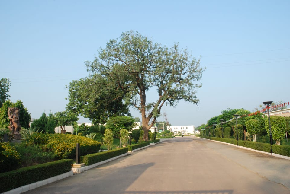 View from property
