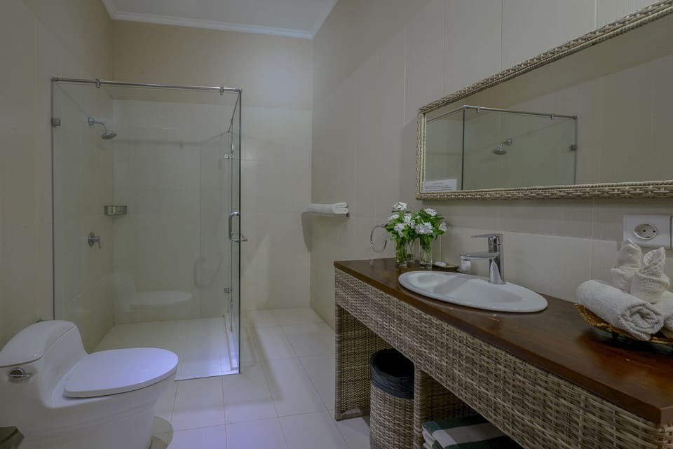 Shower, free toiletries, hair dryer (on request), bidet