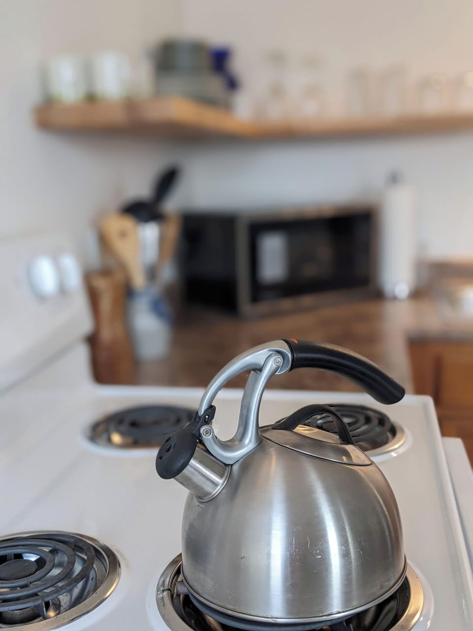 Deerleap Suite | Private kitchen | Full-size fridge, microwave, dishwasher, coffee/tea maker