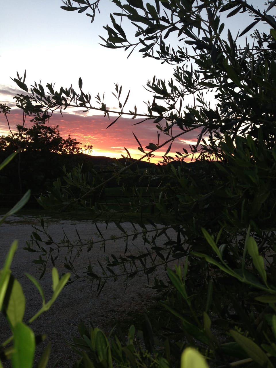 Land view from property