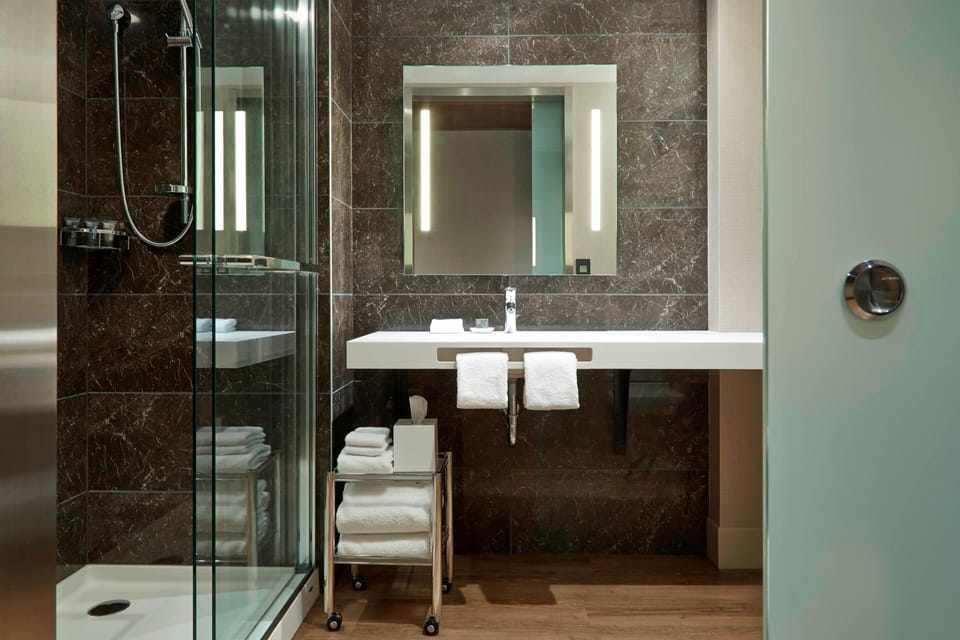 Rainfall showerhead, hair dryer, towels