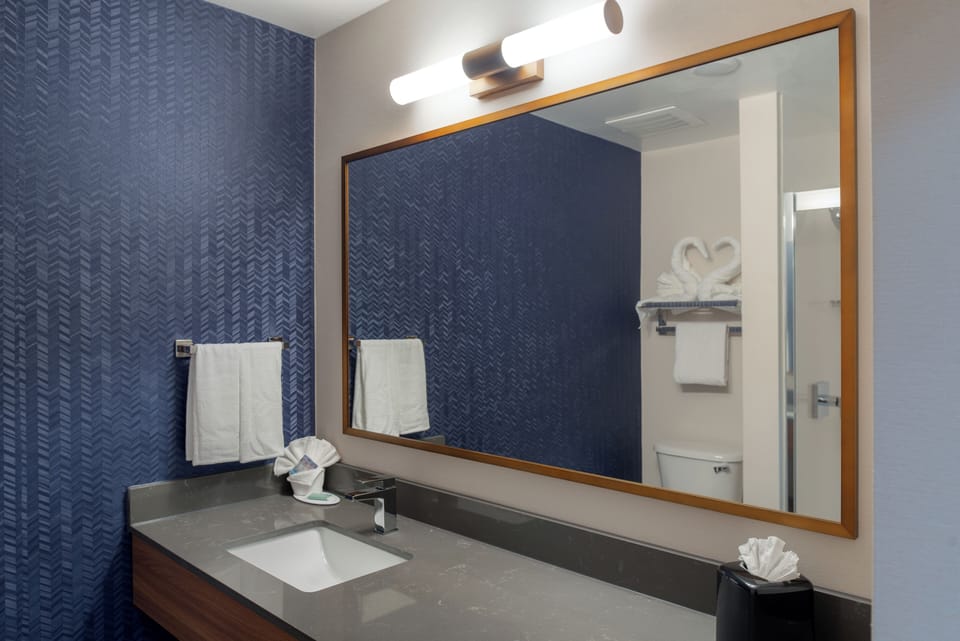 Room, 1 King Bed (Mobility/Hearing Access, Roll-In Shwr) | Egyptian cotton sheets, premium bedding, in-room safe, desk