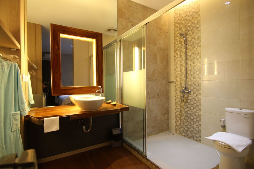 Deluxe Double or Twin Room | Bathroom | Shower, free toiletries, towels