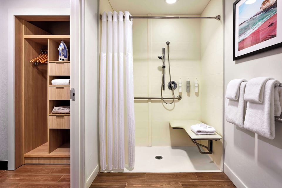 Room, 1 King Bed (Roll-In Shower) | Bathroom shower