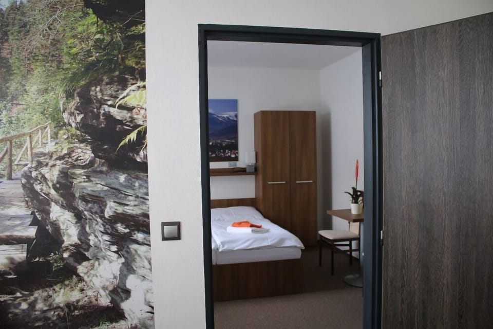 Apartment (with Private Bathroom) | Room amenity