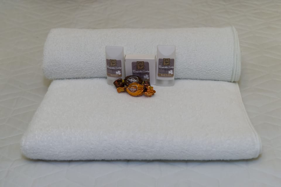 Free toiletries, hair dryer, towels