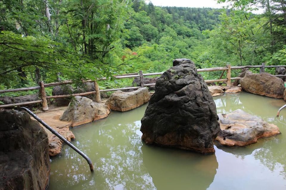 Natural pool