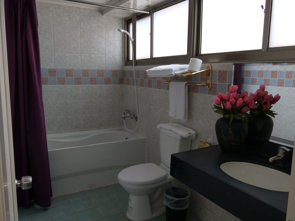 Deluxe Single Room | Bathroom | Combined shower/tub, free toiletries, hair dryer, slippers