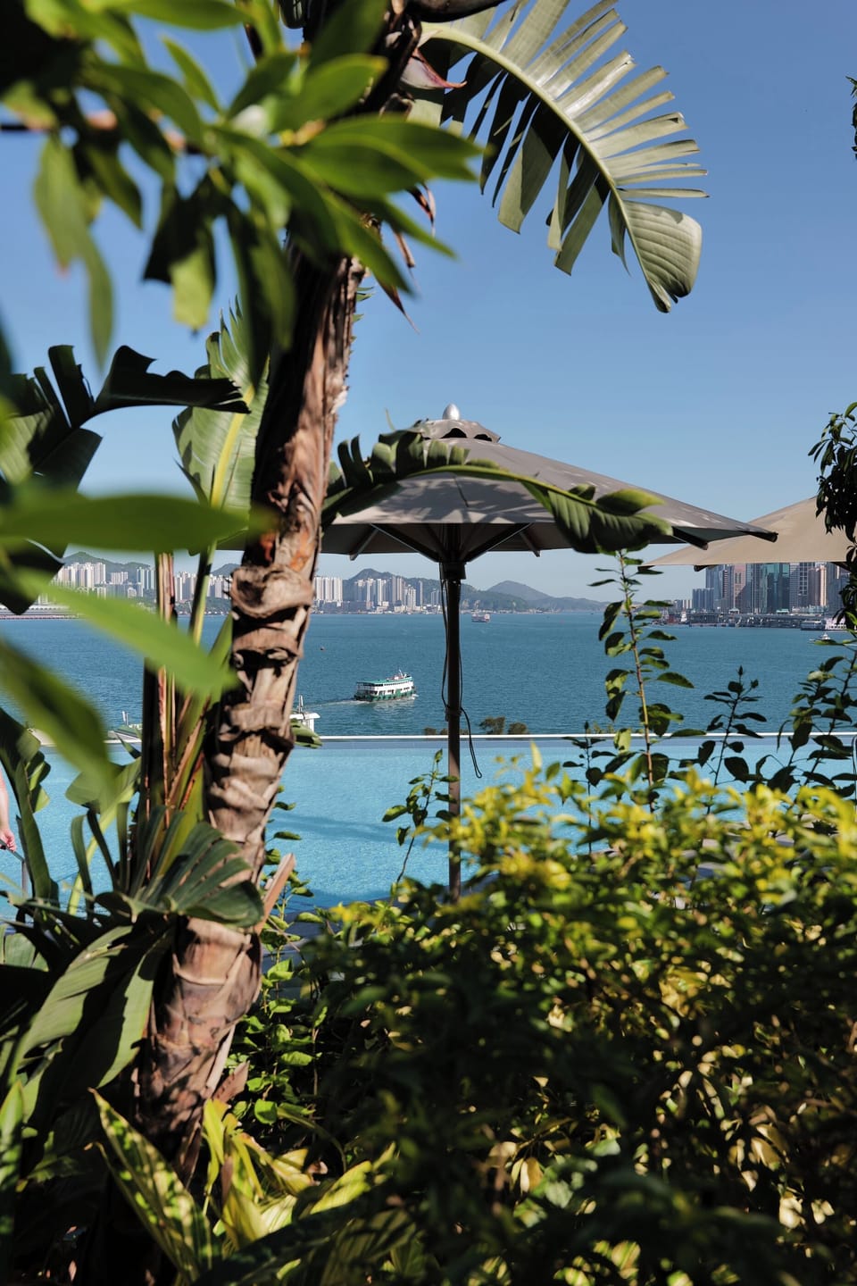 Outdoor pool, open 7:00 AM to 10:00 PM, pool umbrellas, sun loungers