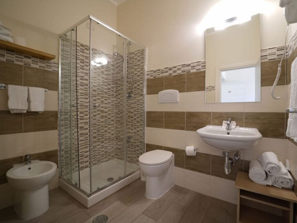 Shower, hair dryer, bidet, towels
