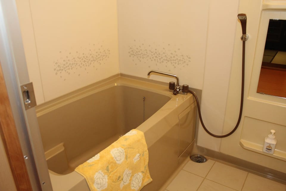Free toiletries, hair dryer, slippers, electronic bidet