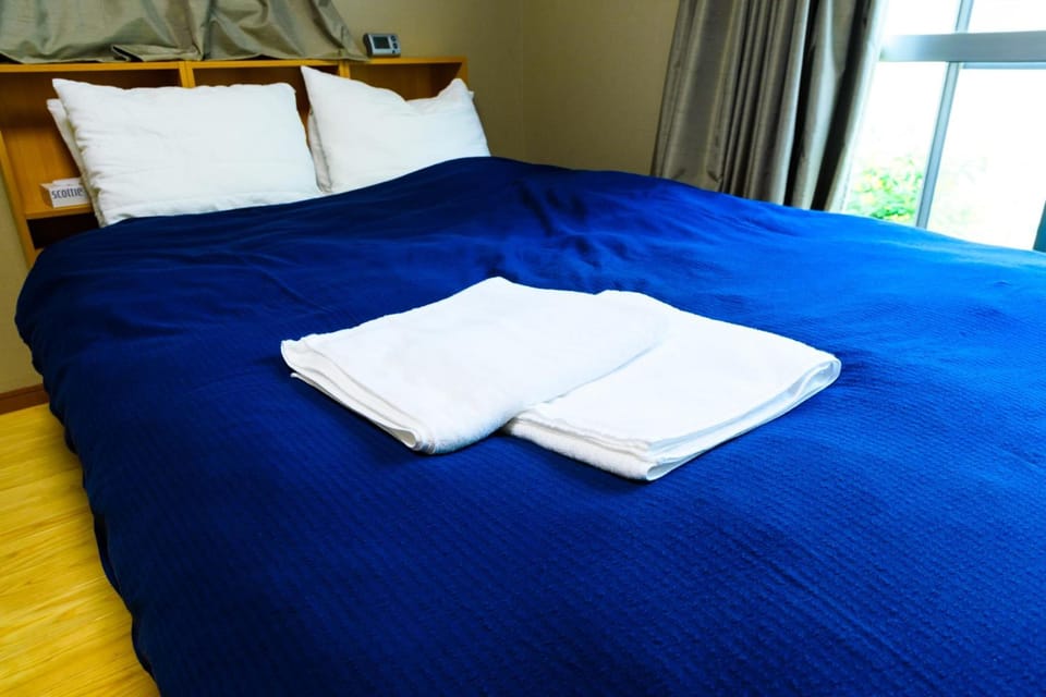Individually decorated, iron/ironing board, free WiFi, bed sheets