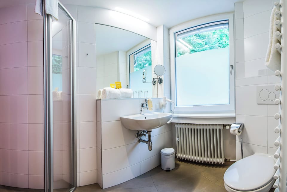 Shower, free toiletries, hair dryer, towels